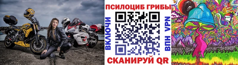 Купить  Буинск  Галлюциногенные грибы Cubensis 