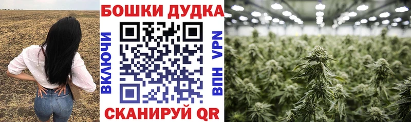 Шишки марихуана OG Kush Купить где Буинск